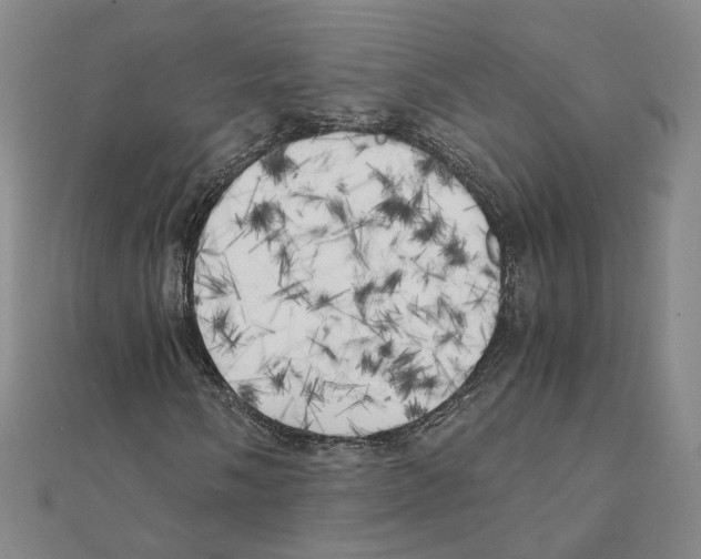 X0000111151058200907281128