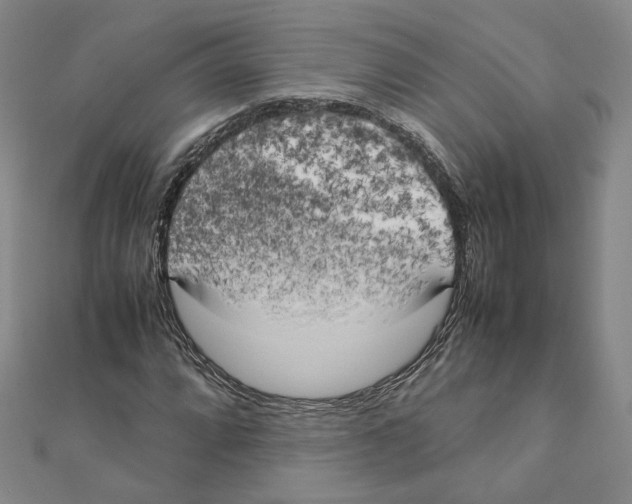 X0000111151064200907281127