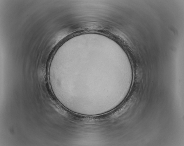 X0000111151065200907281127