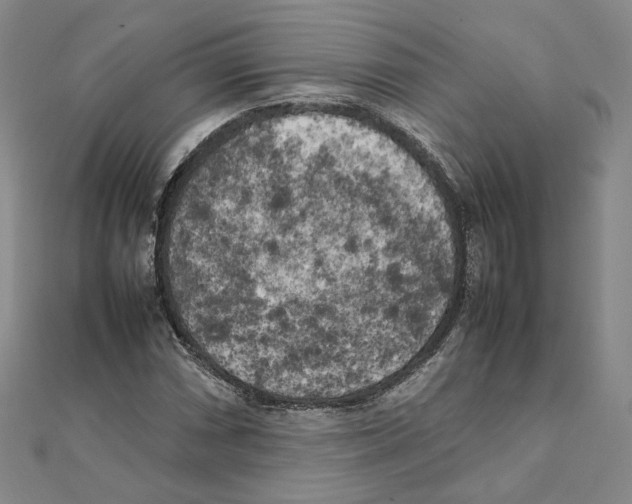 X0000111151066200907281127