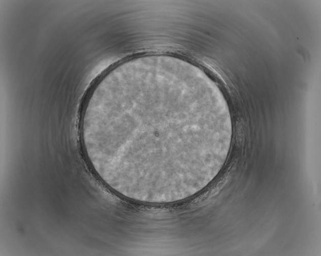 X0000111151071200907281127