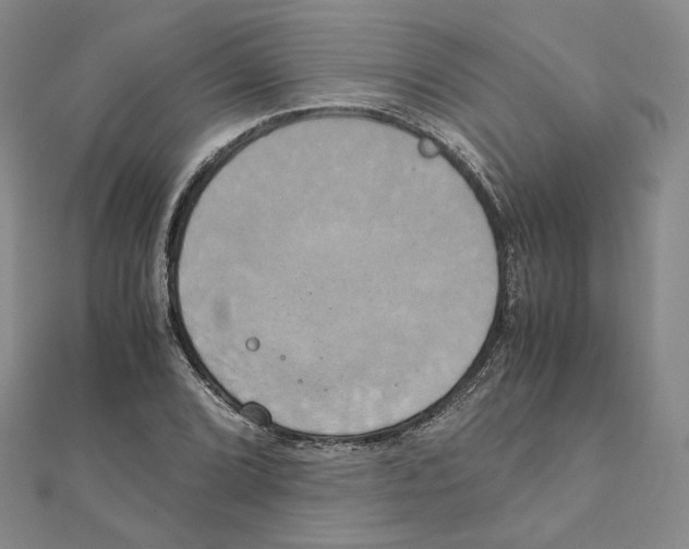 X0000111151072200907281127