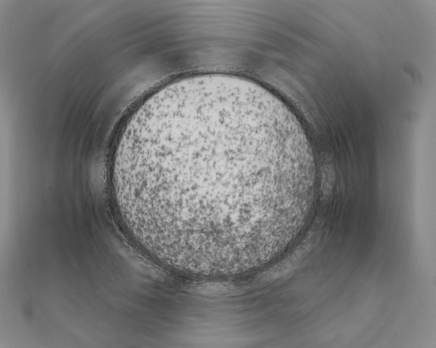 X0000111151074200907281127