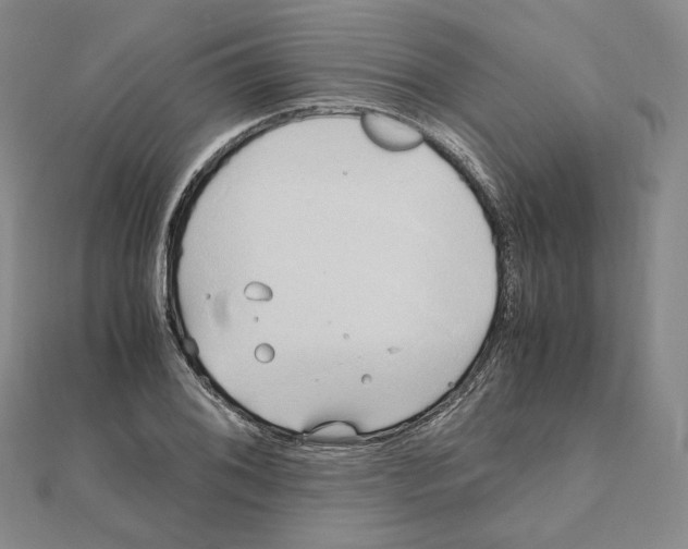 X0000111151076200907281127