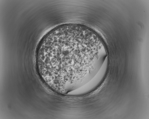 X0000111151077200907281127