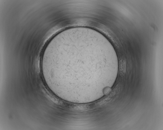 X0000111151078200907281127