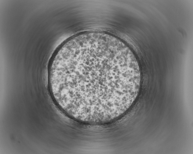 X0000111151079200907281127