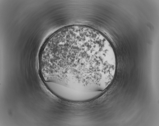 X0000111151080200907281127