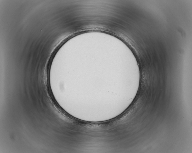 X0000111151082200907281127