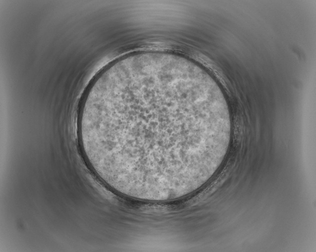 X0000111151083200907281127