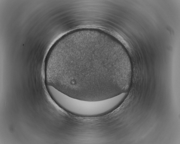 X0000111151084200907281127