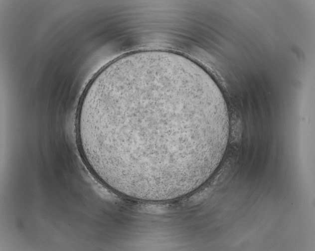 X0000111151086200907281127