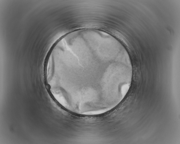 X0000111151087200907281127