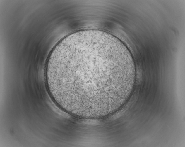 X0000111151090200907281127