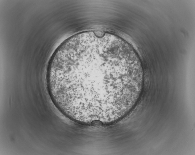 X0000111151091200907281127