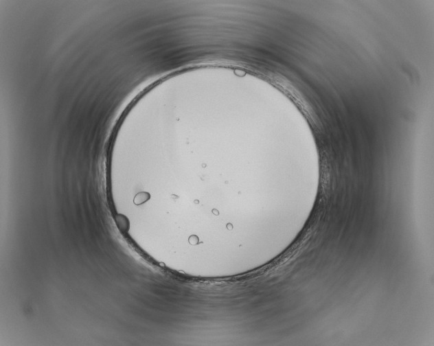 X0000111151092200907281127