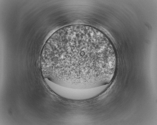 X0000111151097200907281127