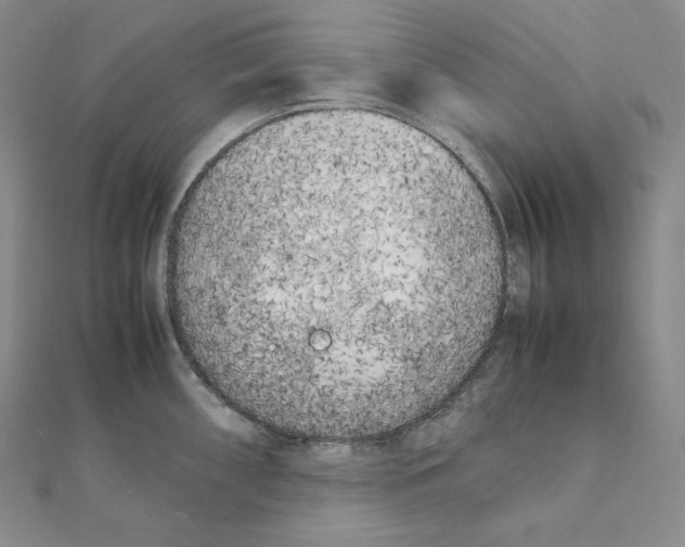 X0000111151098200907281127