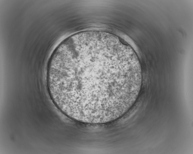 X0000111151099200907281127