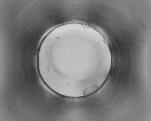 X0000111151100200907281127