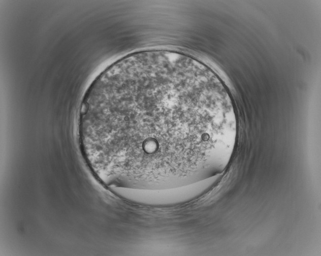 X0000111151101200907281127