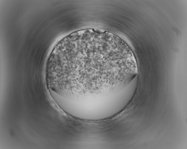 X0000111151104200907281127