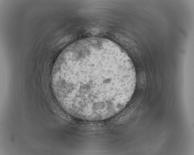 X0000111151105200907281126