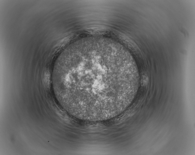 X0000111151108200907281126