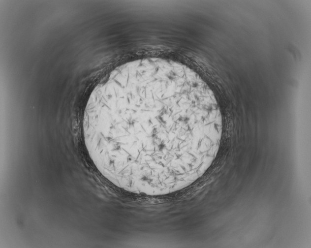 X0000111151109200907281126