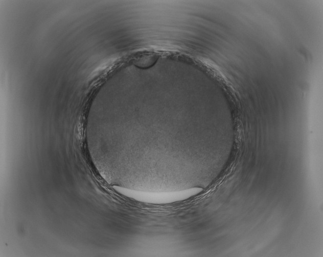 X0000111151110200907281126