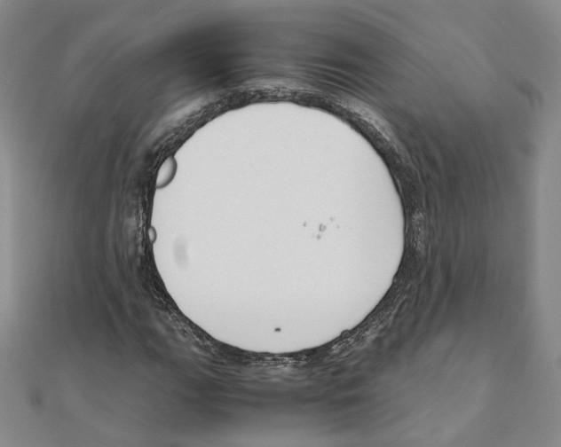 X0000111151111200907281126