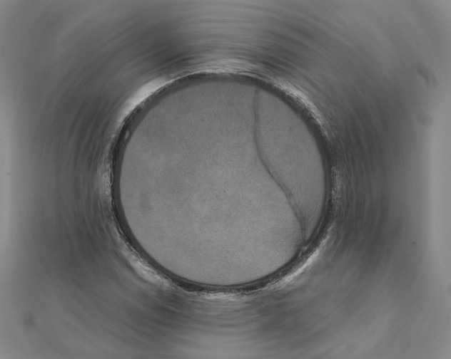 X0000111151114200907281126