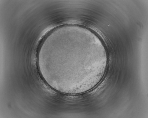 X0000111151115200907281126