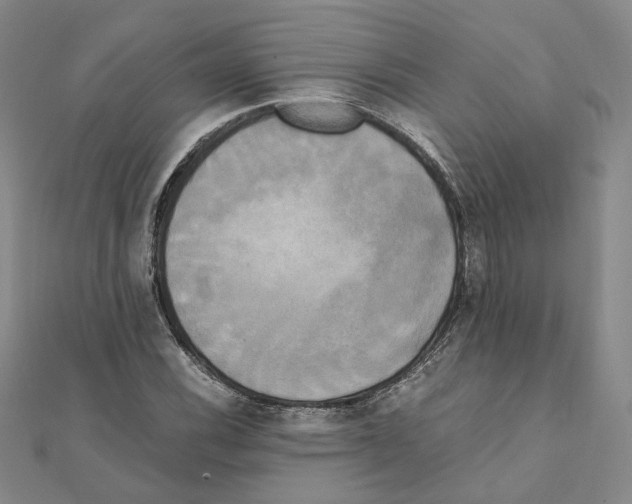 X0000111151116200907281126