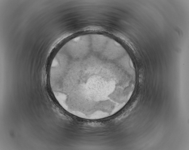 X0000111151117200907281126