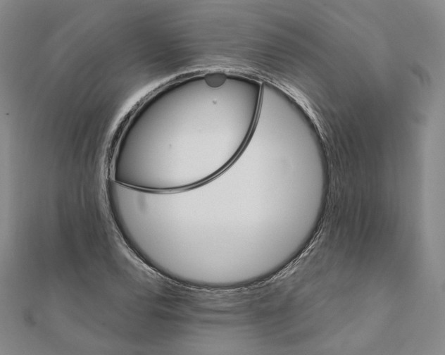 X0000111151120200907281127