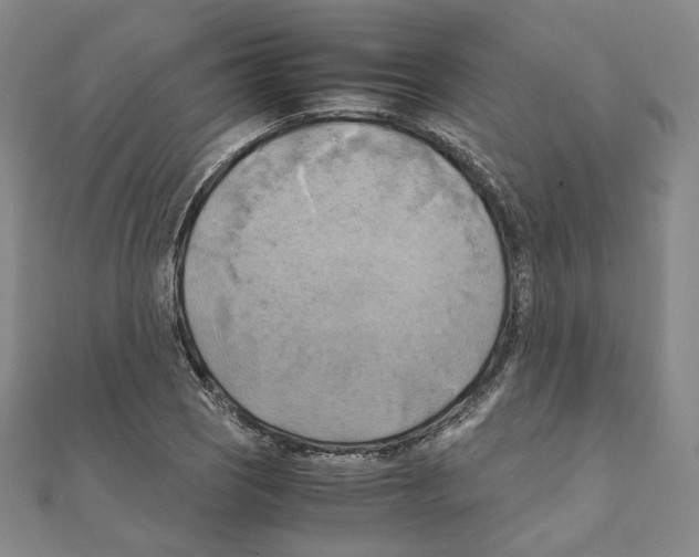 X0000111151121200907281127