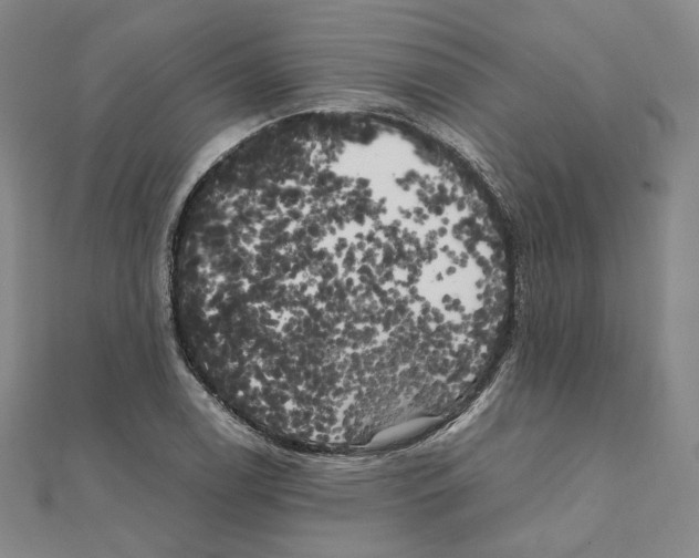 X0000111151122200907281127