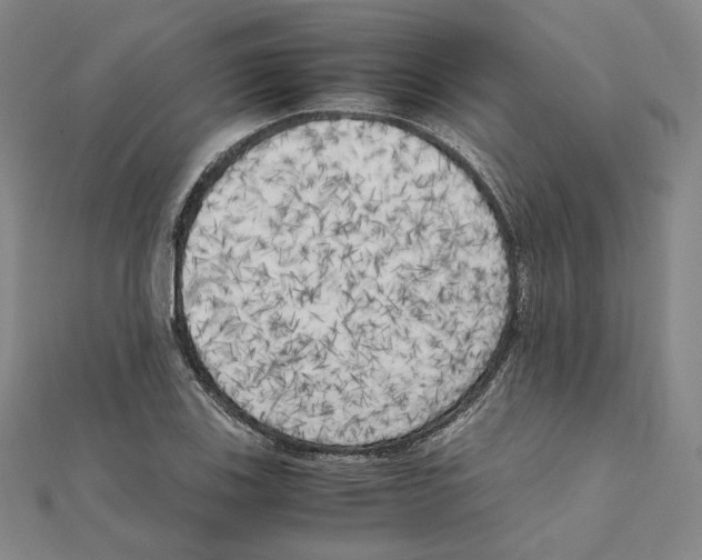 X0000111151123200907281127