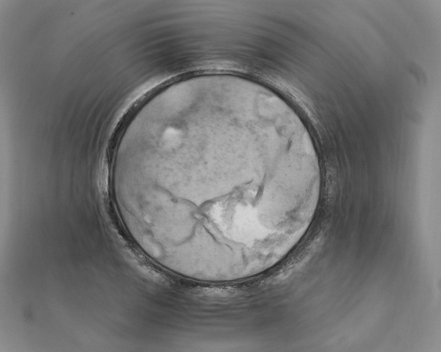 X0000111151125200907281127