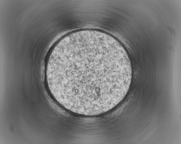 X0000111151126200907281127