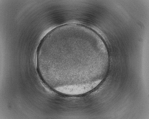 X0000111151127200907281127