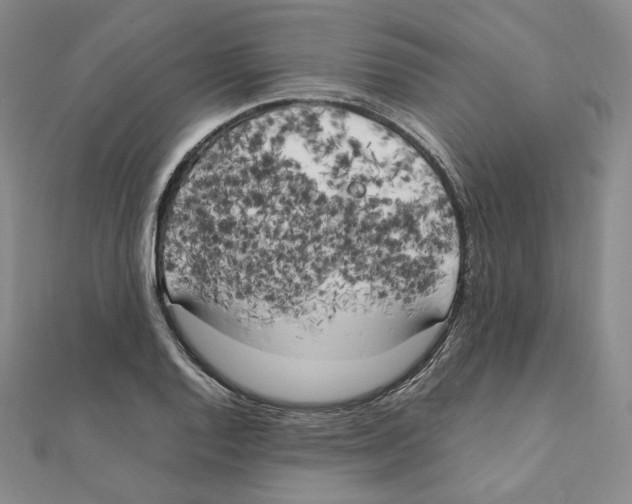 X0000111151128200907281127