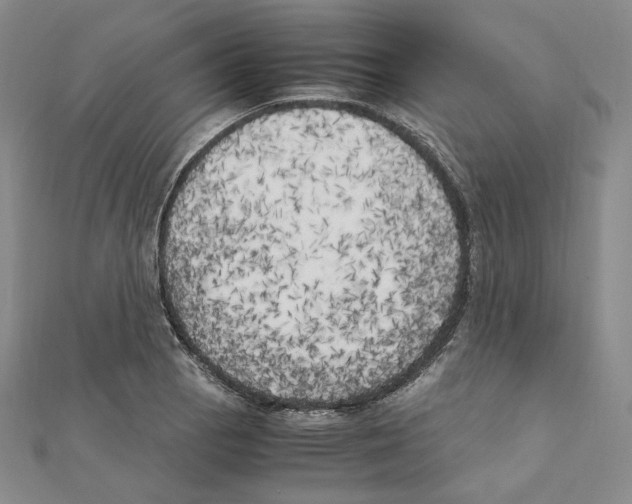 X0000111151129200907281127