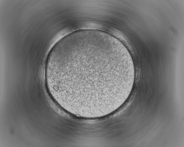 X0000111151130200907281127