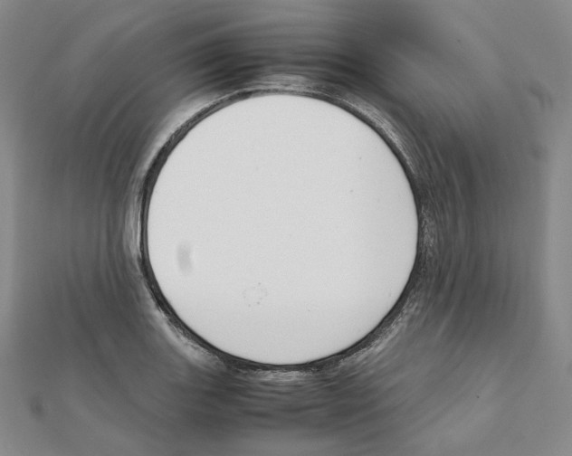 X0000111151131200907281127