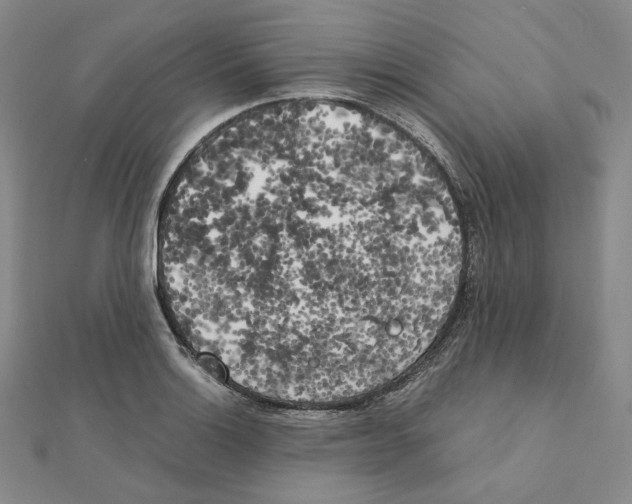 X0000111151132200907281127