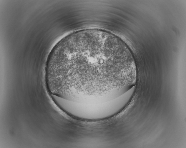 X0000111151134200907281127