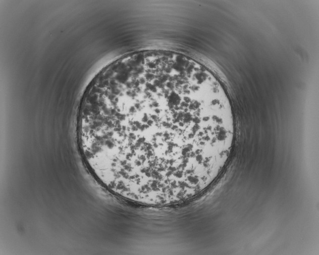 X0000111151138200907281127