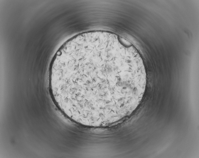 X0000111151140200907281127